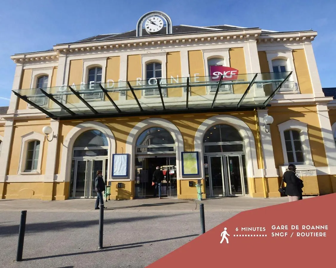 Artgrey * Ideal Pro * Roanne Secteur Gare Et Rue Pietonnes 0*,  France