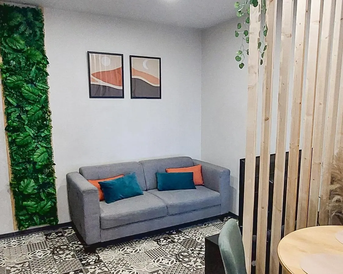 Artgrey * Ideal Pro * Roanne Secteur Gare Et Rue Pietonnes France